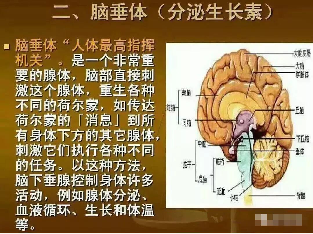 <a href=http://www.www.ezii.net/cp/shengming/1910.html target=_blank class=infotextkey>Gɫ</a>.jpg