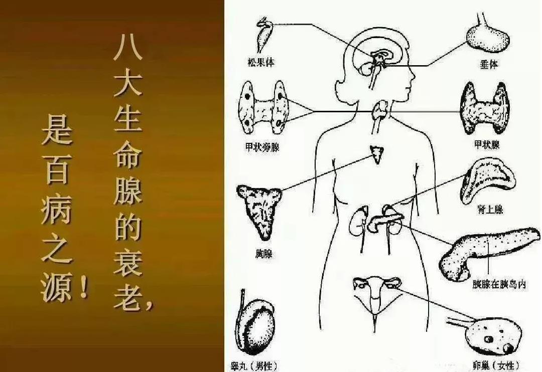 |<a href=http://www.www.ezii.net/cp/shengming/1435.html target=_blank class=infotextkey></a>.jpg