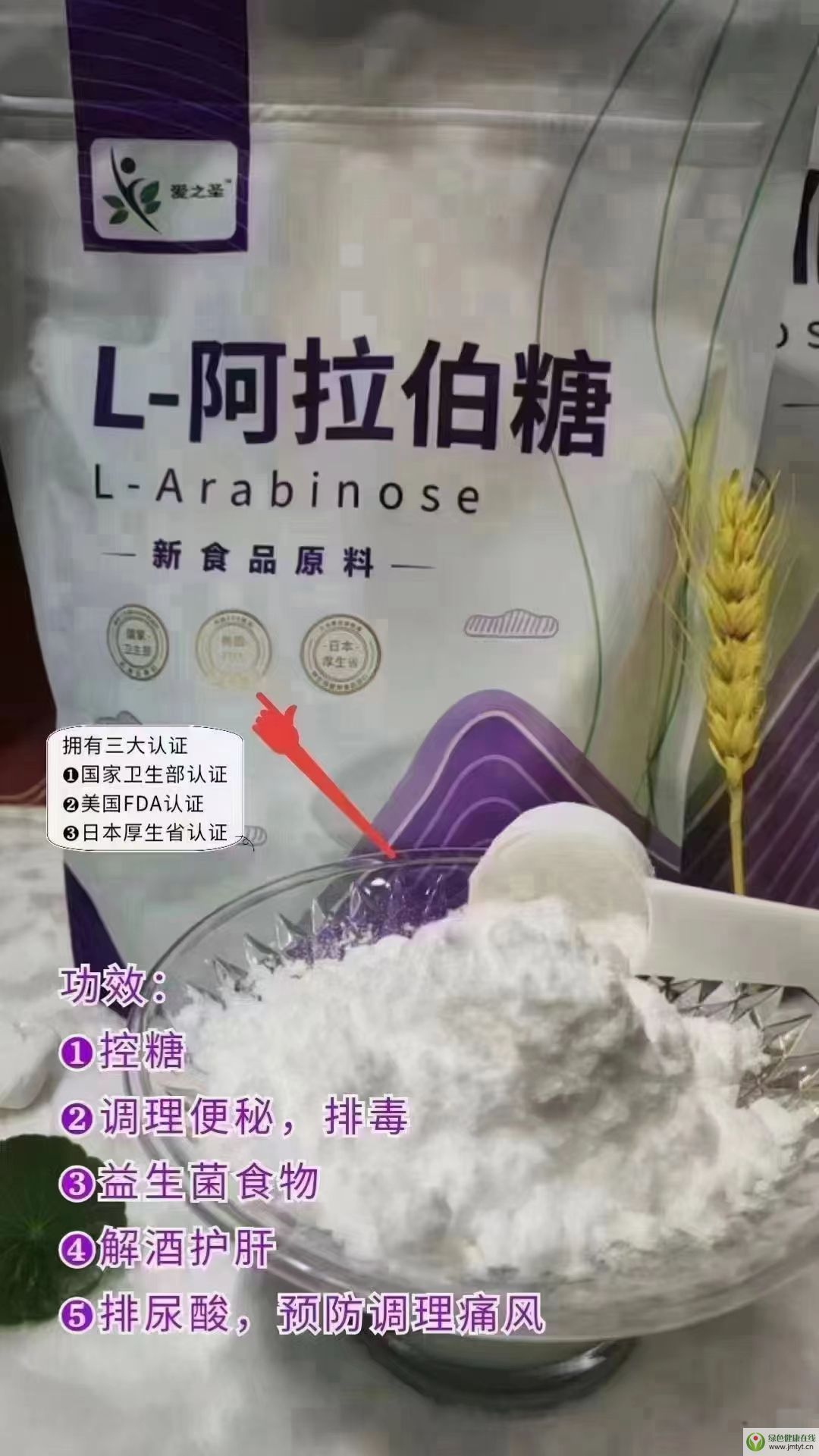 L-ʳƷǣ{أ{ʧߣoΣᣩ